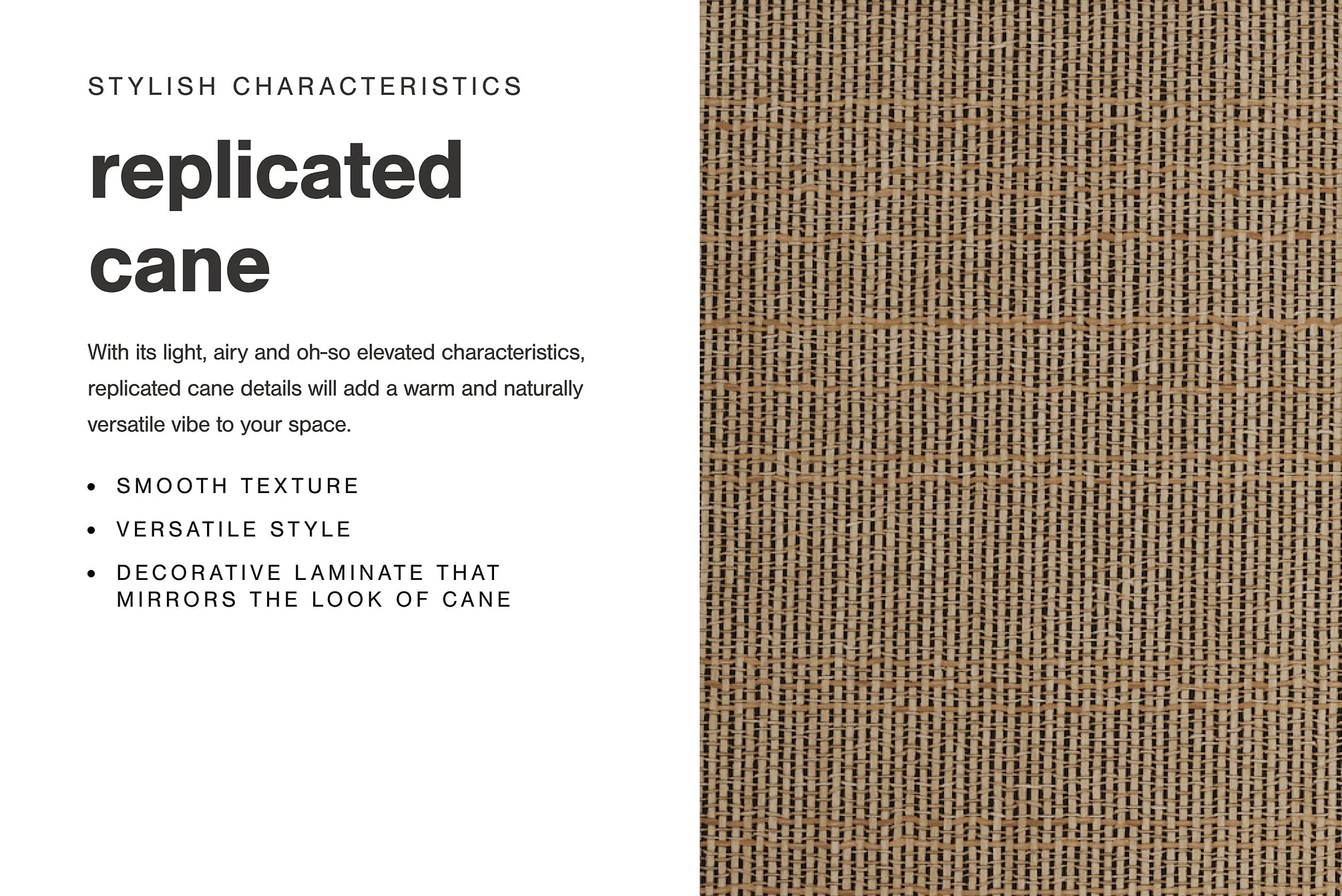 Cielden Queen Panel Bed with Mirrored Dresser and Nightstand